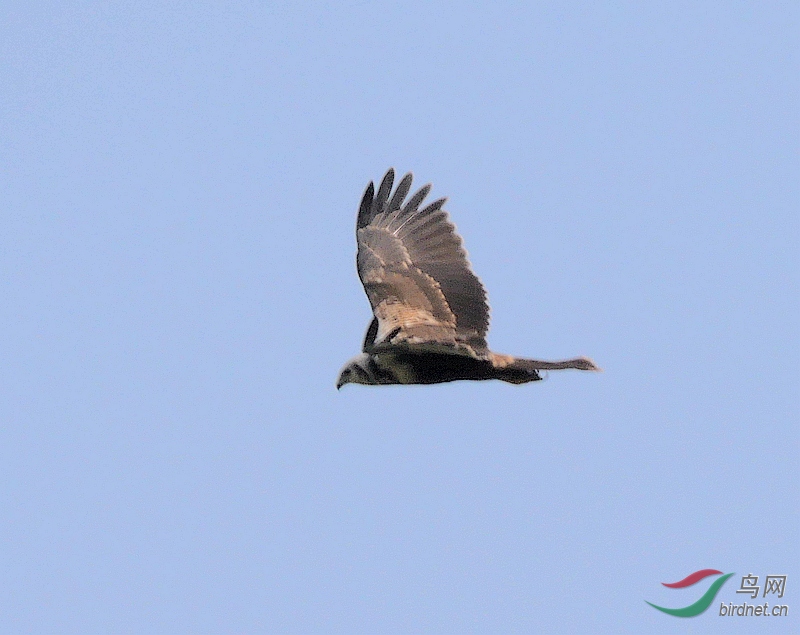 P5420012 - ����.JPG