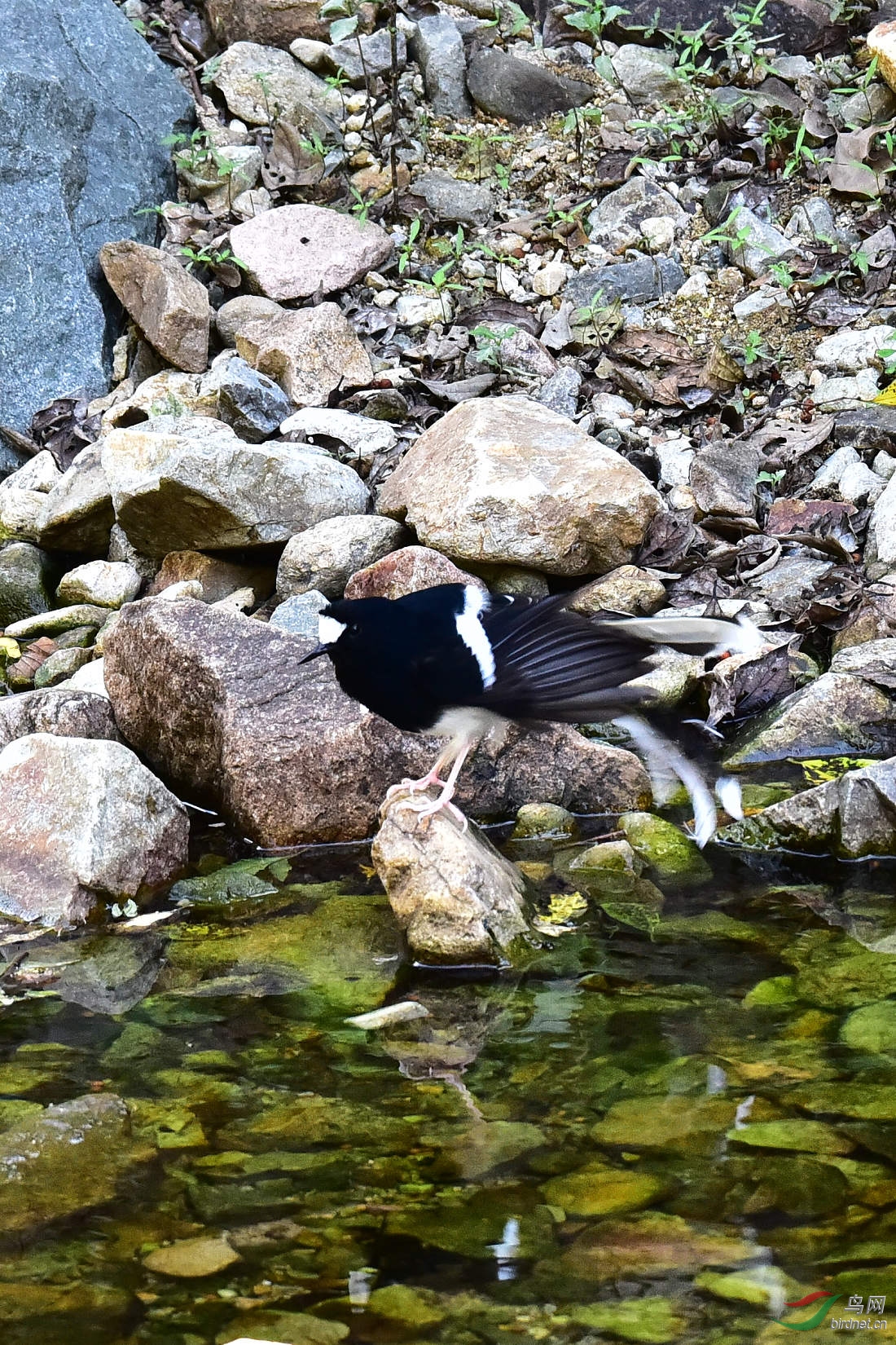 DSC_1278.JPG