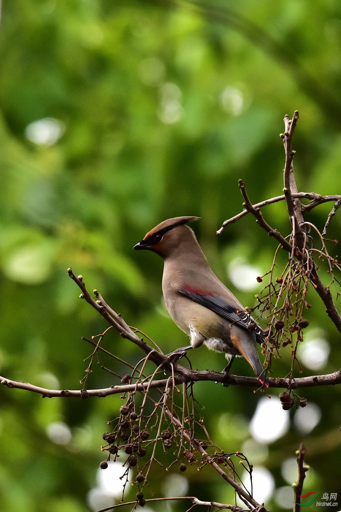 DSC_0148.JPG