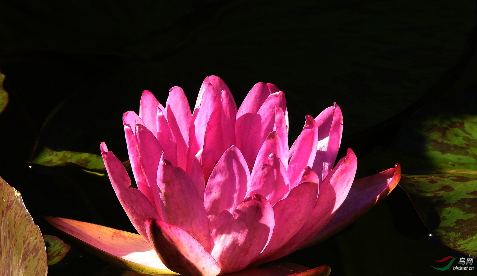 DSCN6116.JPG