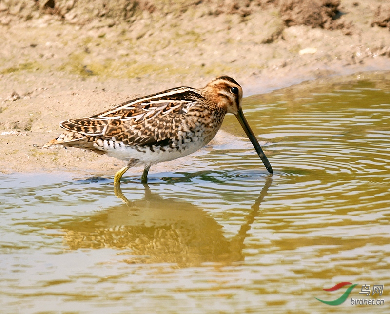 P5410757 - ����.JPG