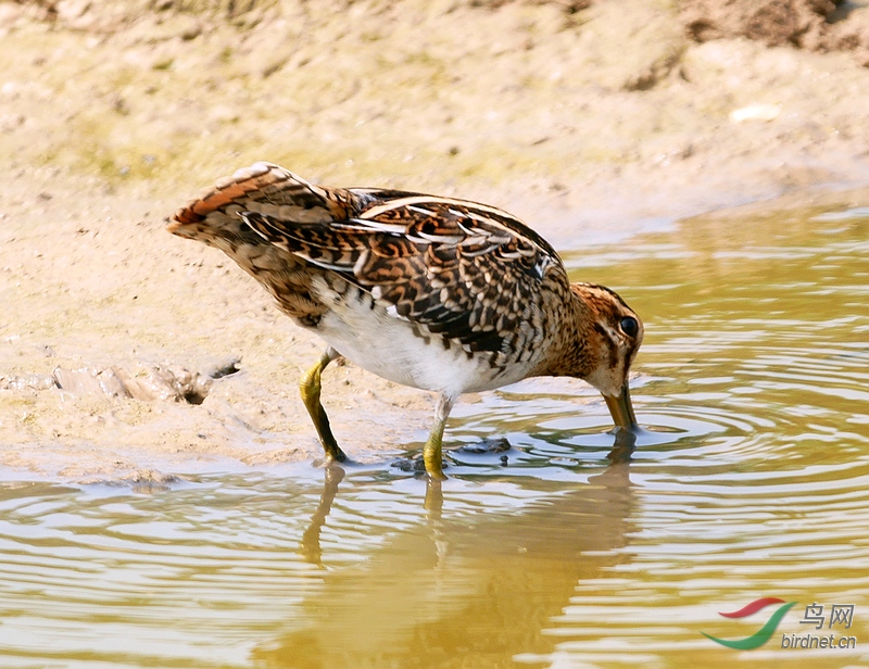 P5410765 - ����.JPG