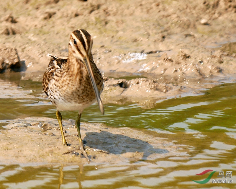 P5410796 - ����.JPG