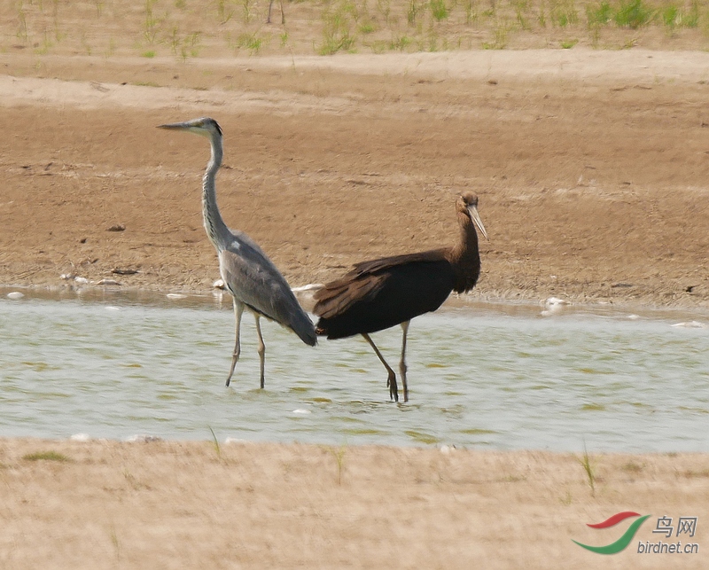 P5420731 - ����.JPG