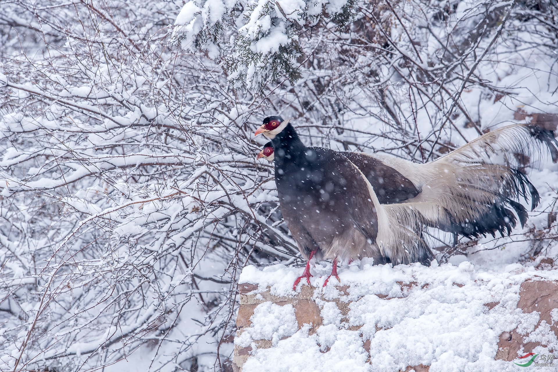 _DSC7697.jpg