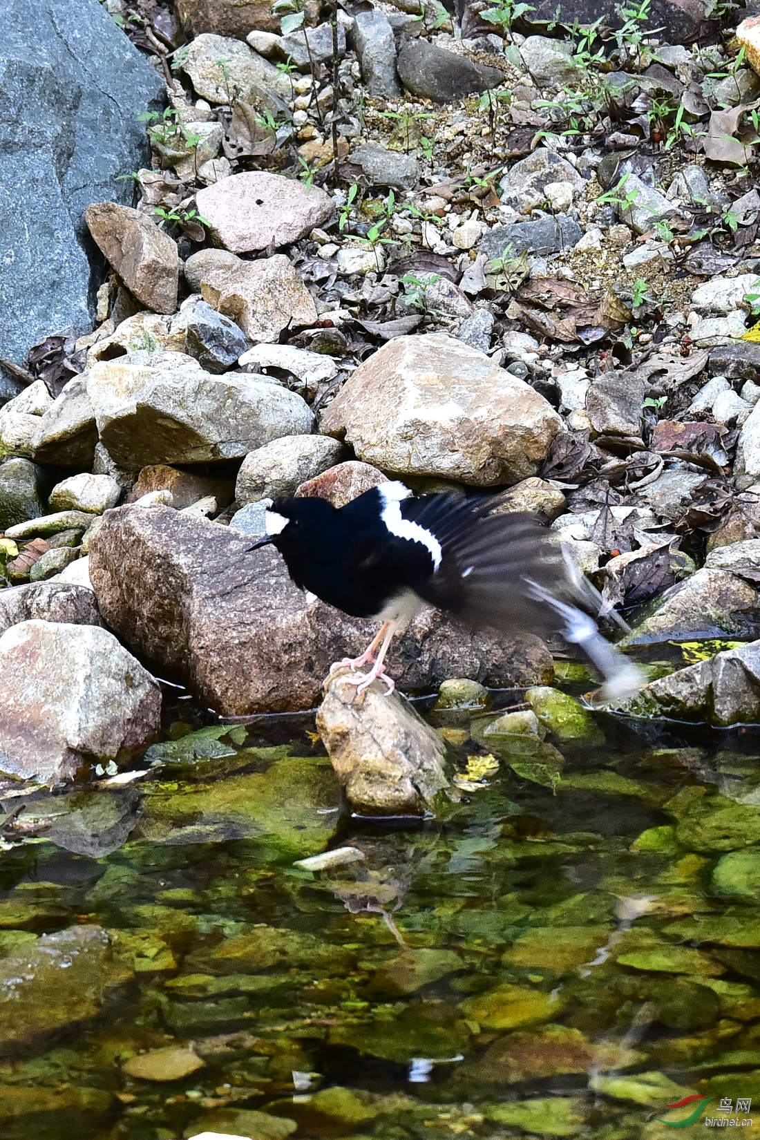 DSC_1281.JPG