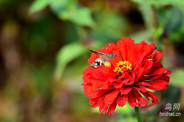 DSC_1279_����.jpg