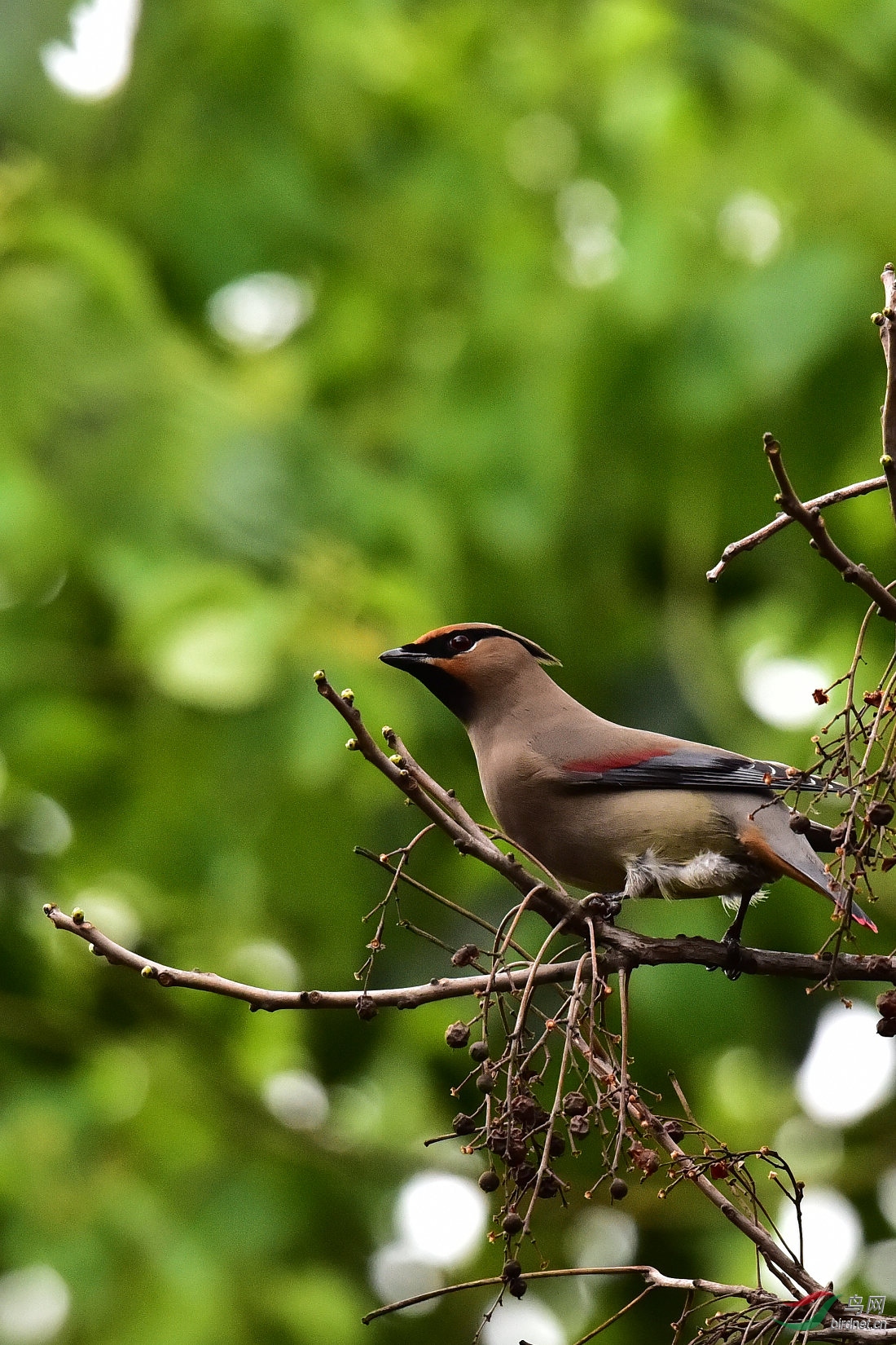 DSC_0154.JPG