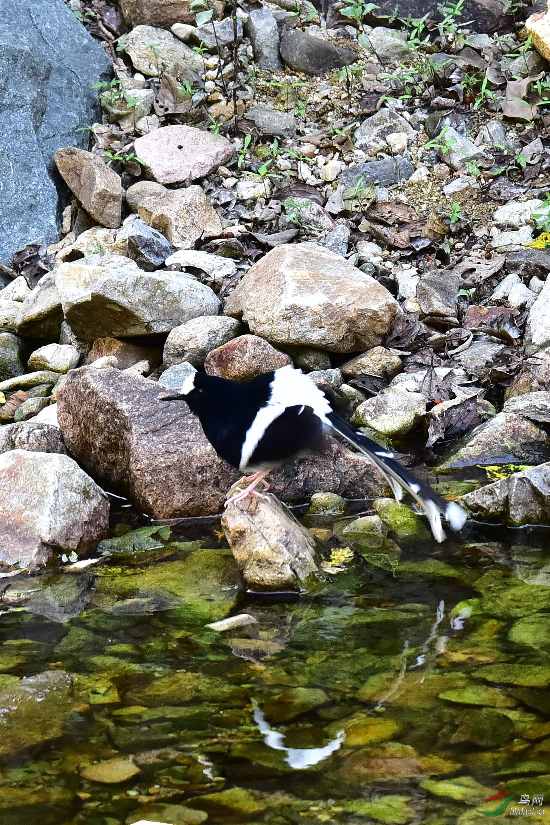 DSC_1288.JPG