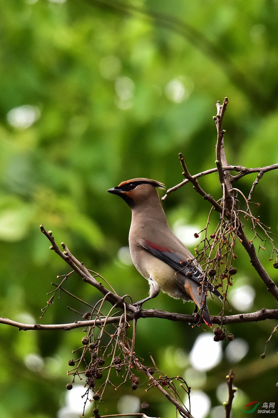 DSC_0157.JPG