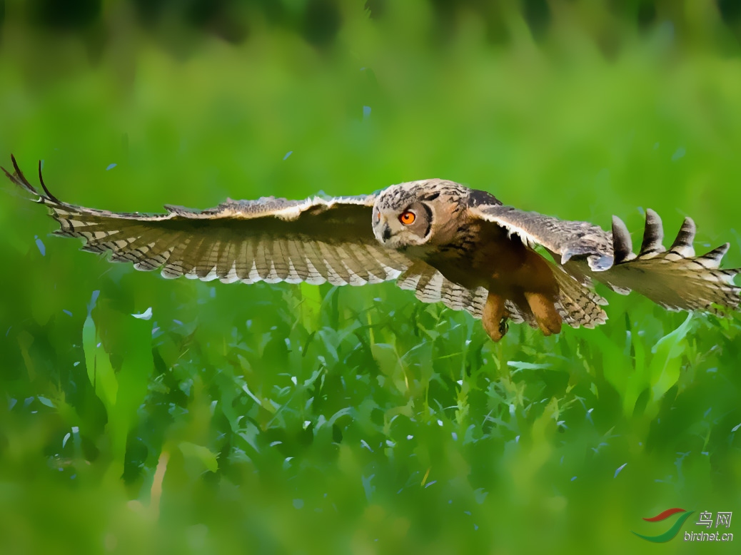 DSC_7617��2��1������2.jpg