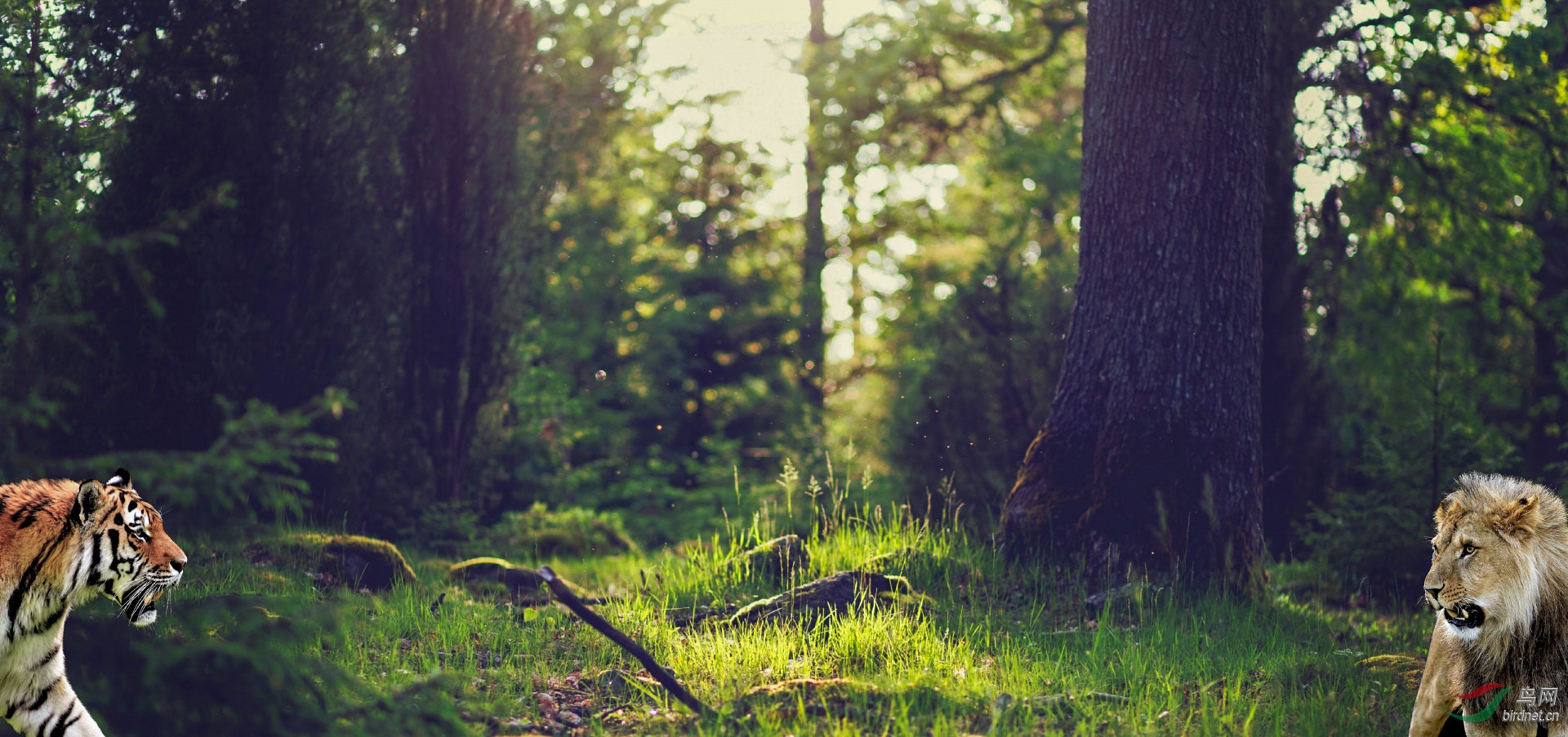 ��أ�����ֹ�� 1920x500k.jpg