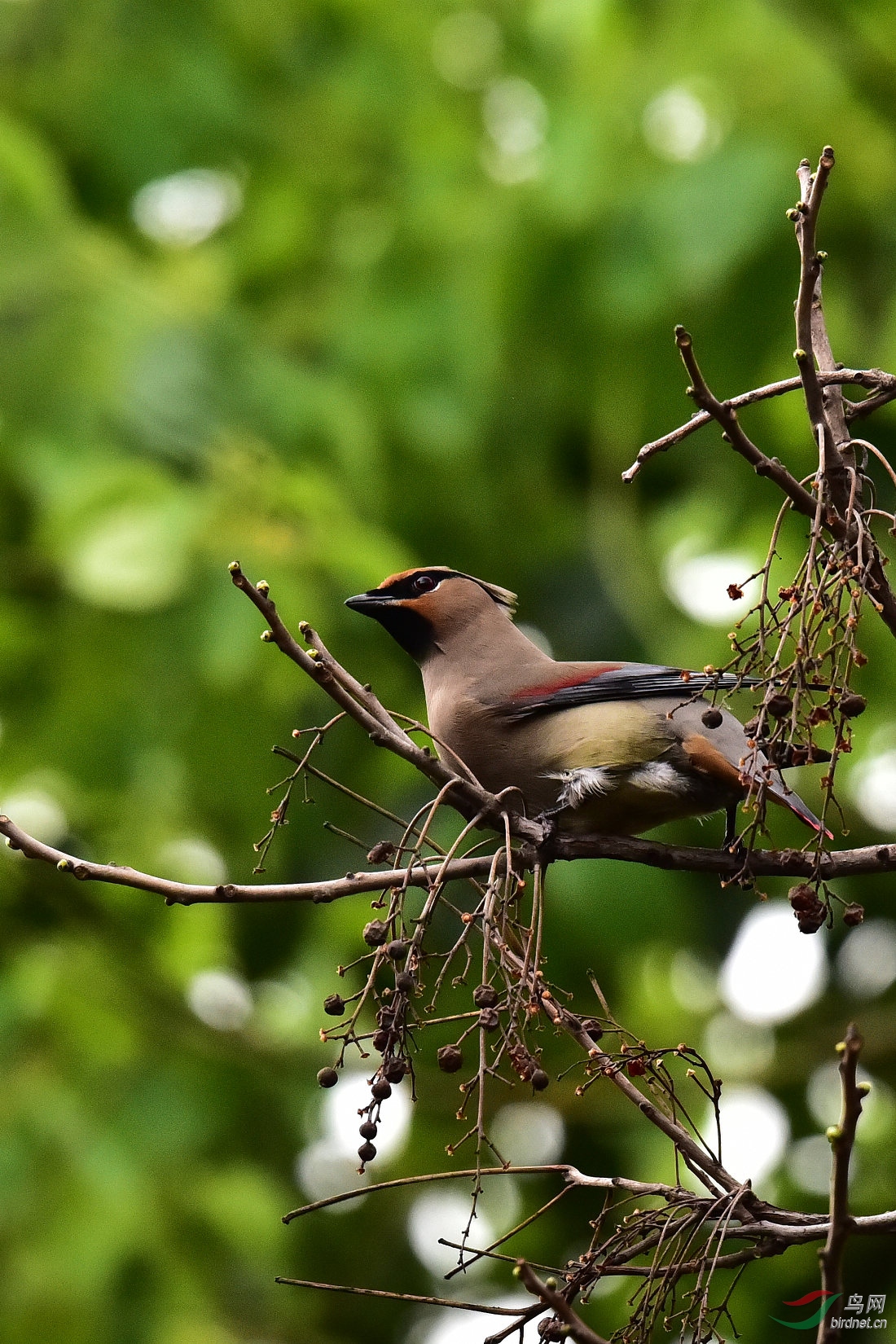DSC_0159.JPG