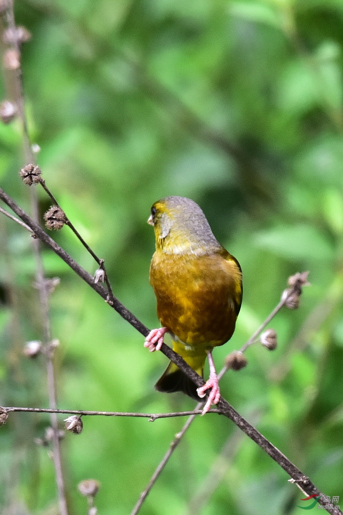 DSC_1289.JPG