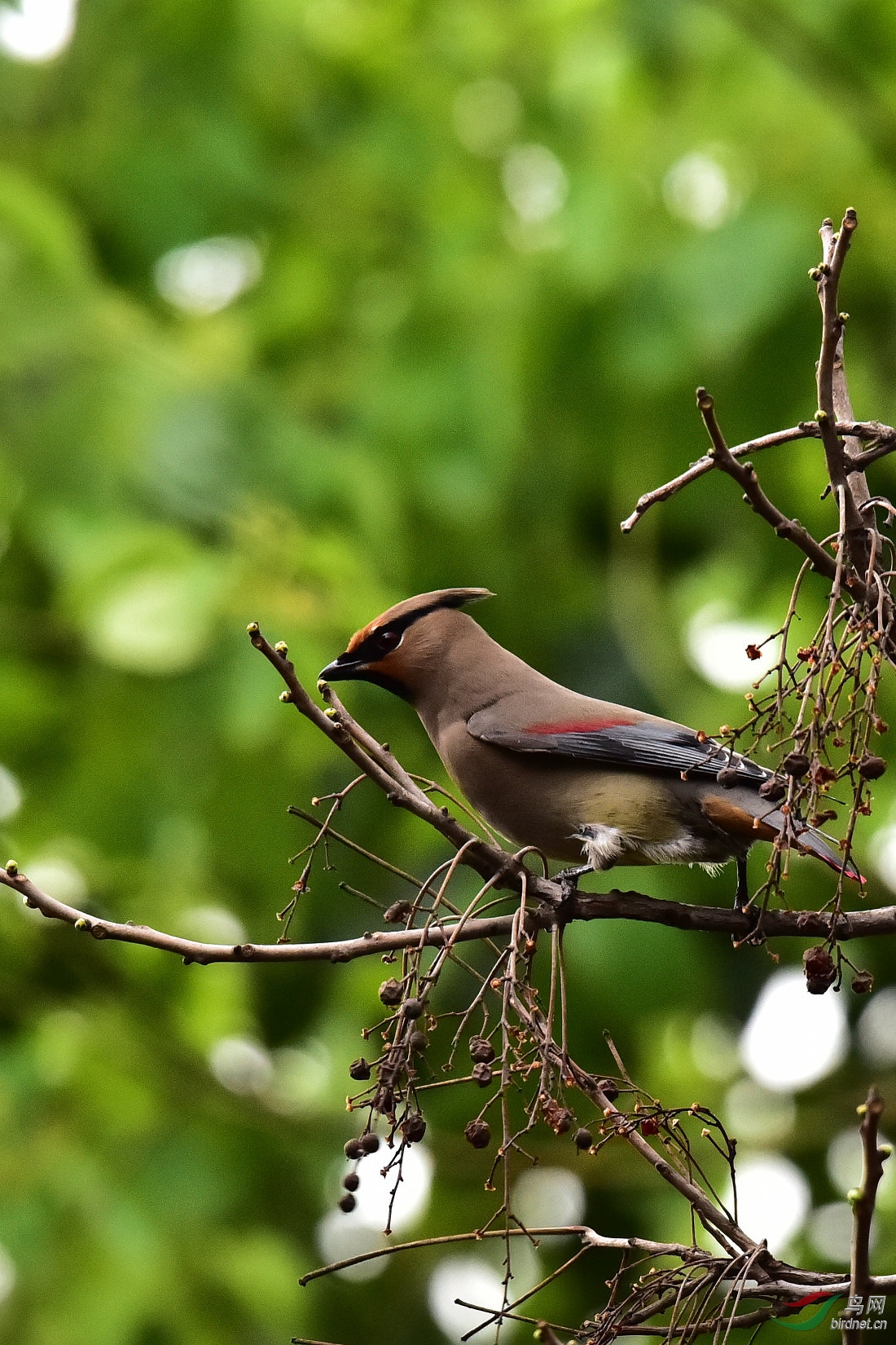 DSC_0162.JPG