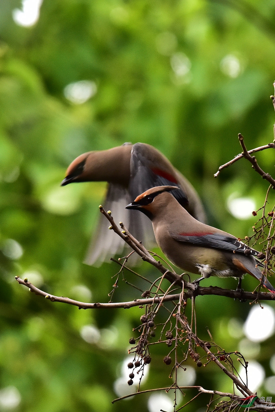 DSC_0163.JPG