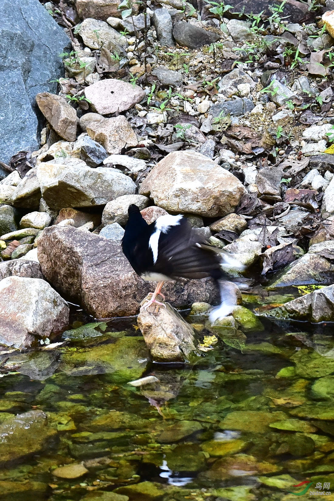 DSC_1294.JPG
