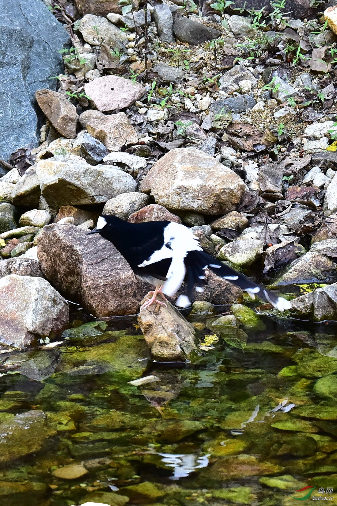 DSC_1300.JPG