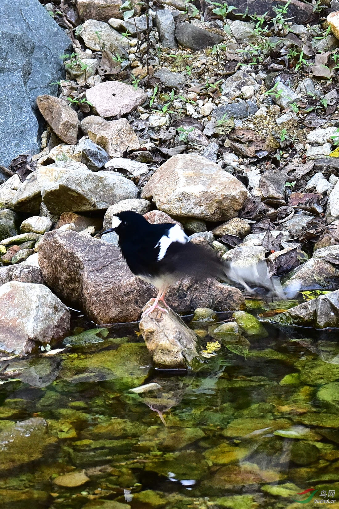 DSC_1304.JPG
