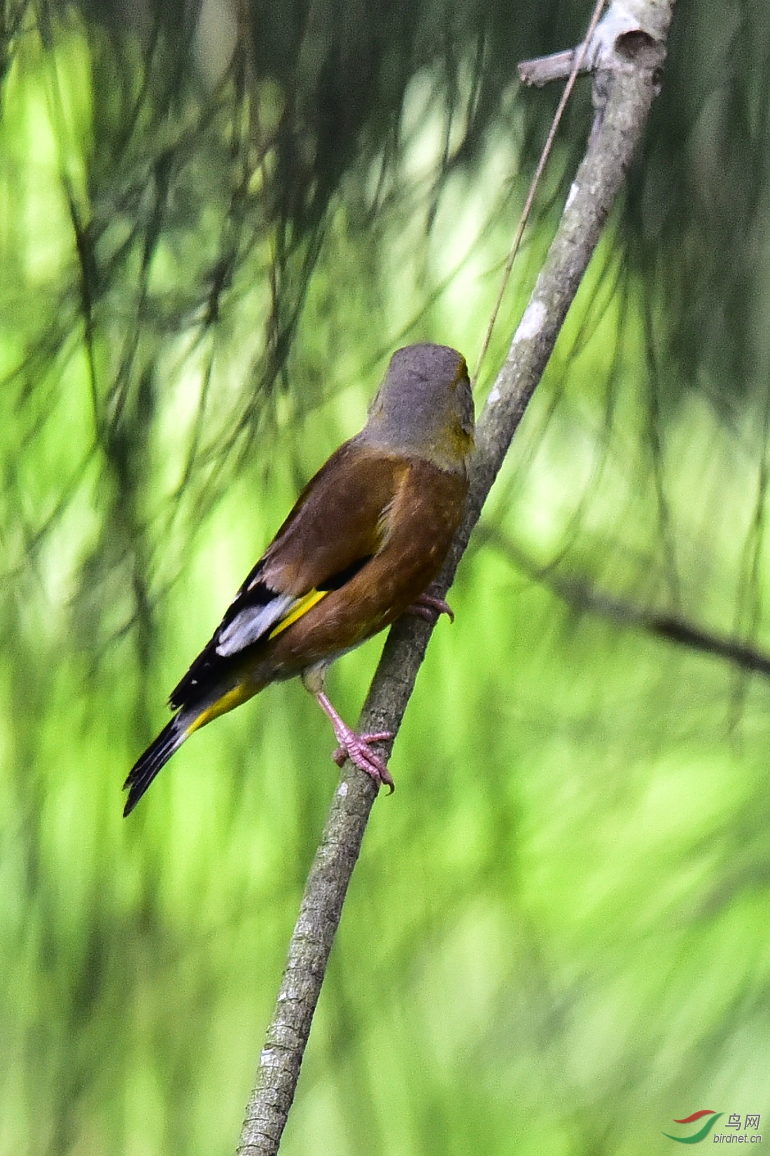 DSC_1297.JPG