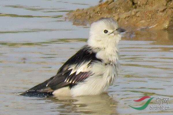 ��.�ǳ��壿