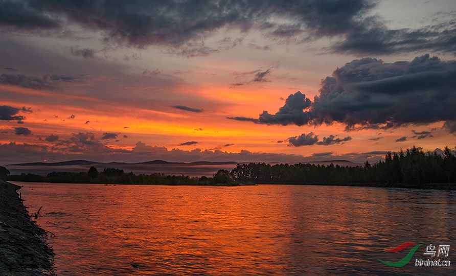 DSC_6953---2.jpg
