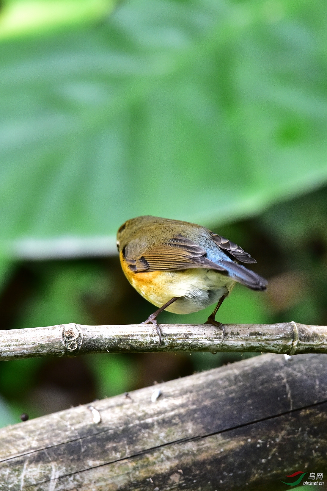 DSC_0021.JPG