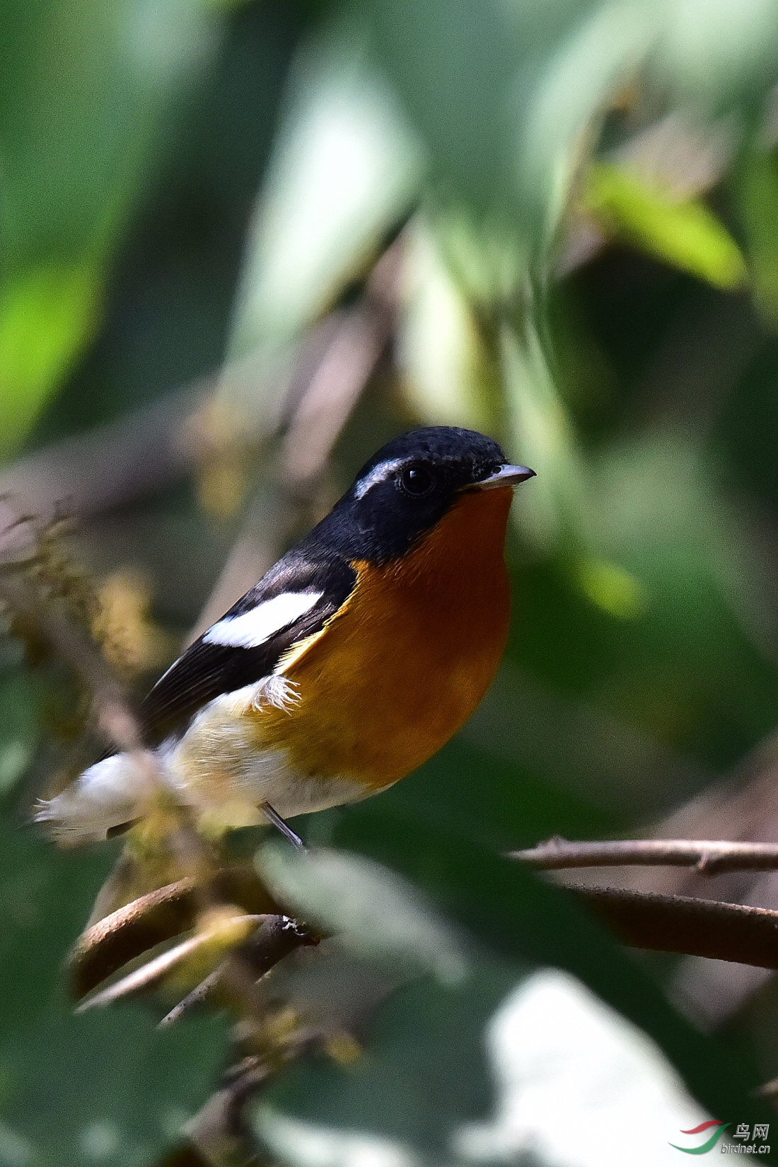 DSC_0022.JPG