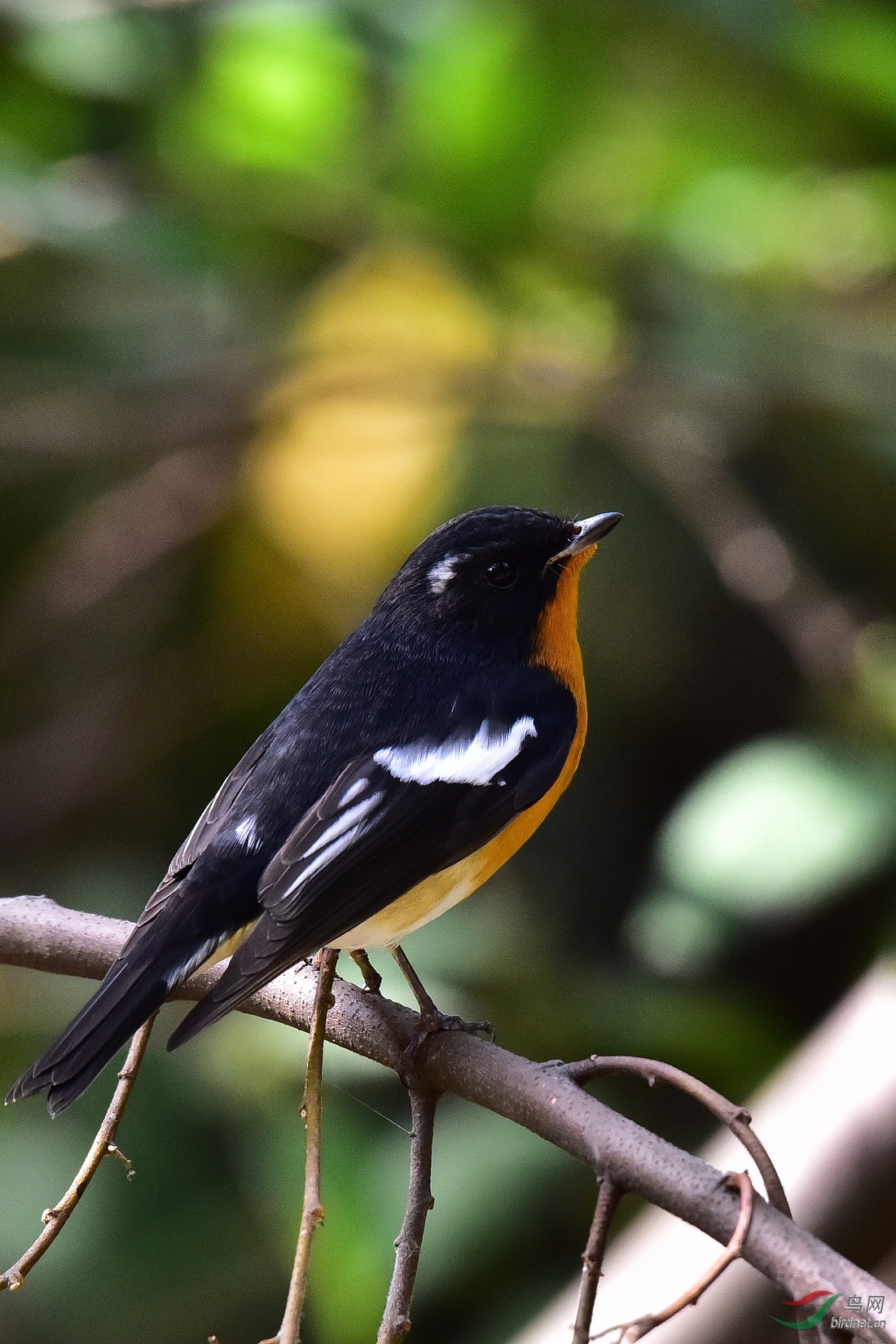 DSC_0023.JPG