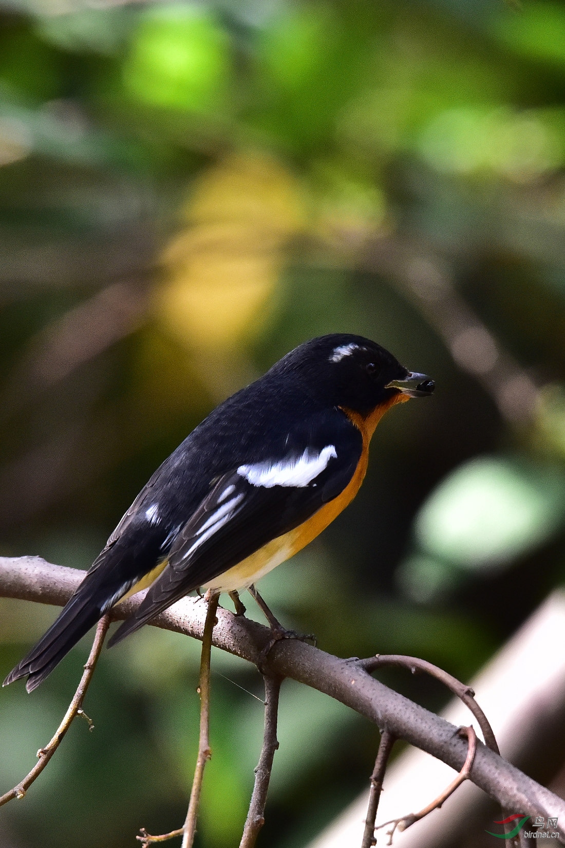DSC_0024.JPG