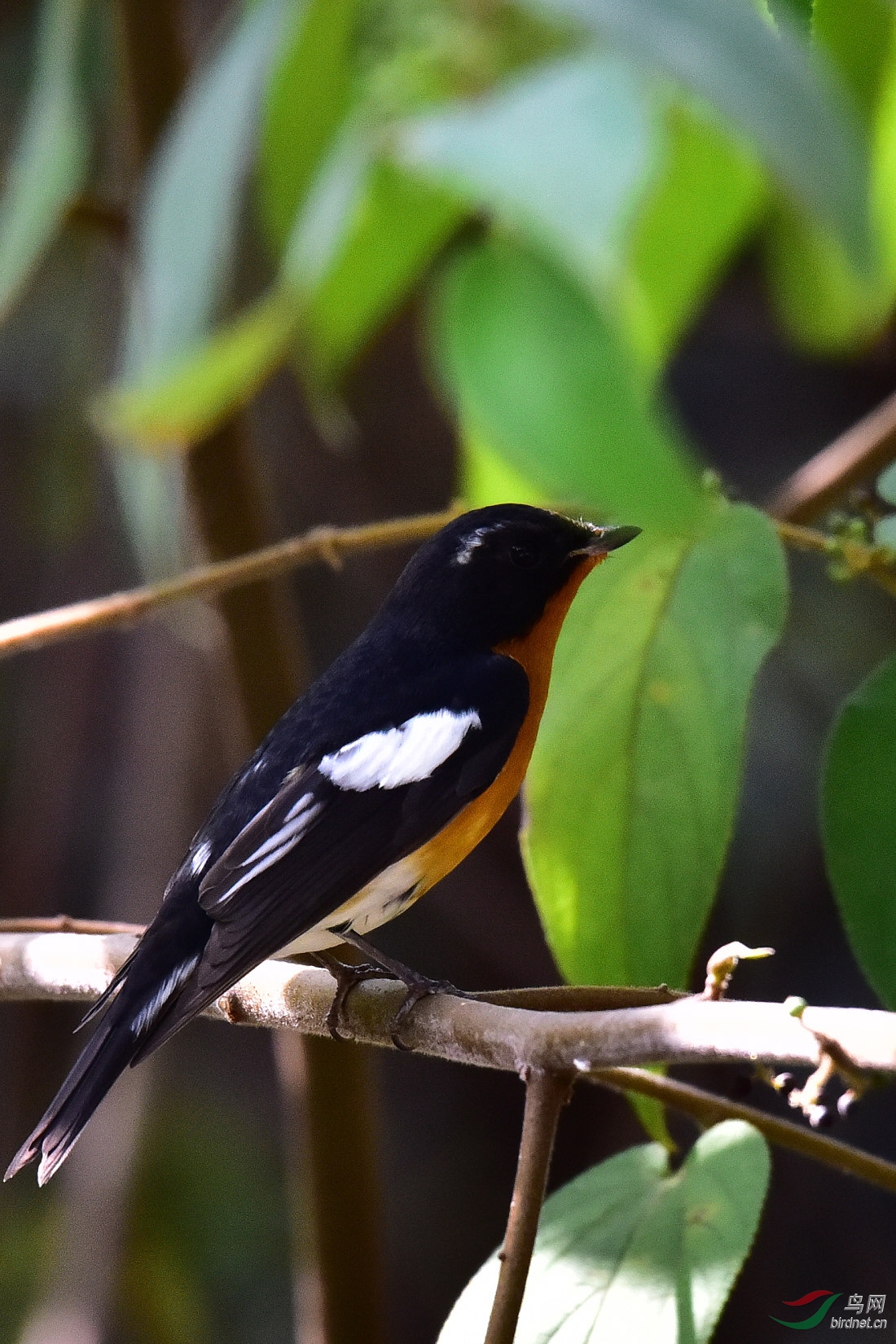 DSC_0025.JPG