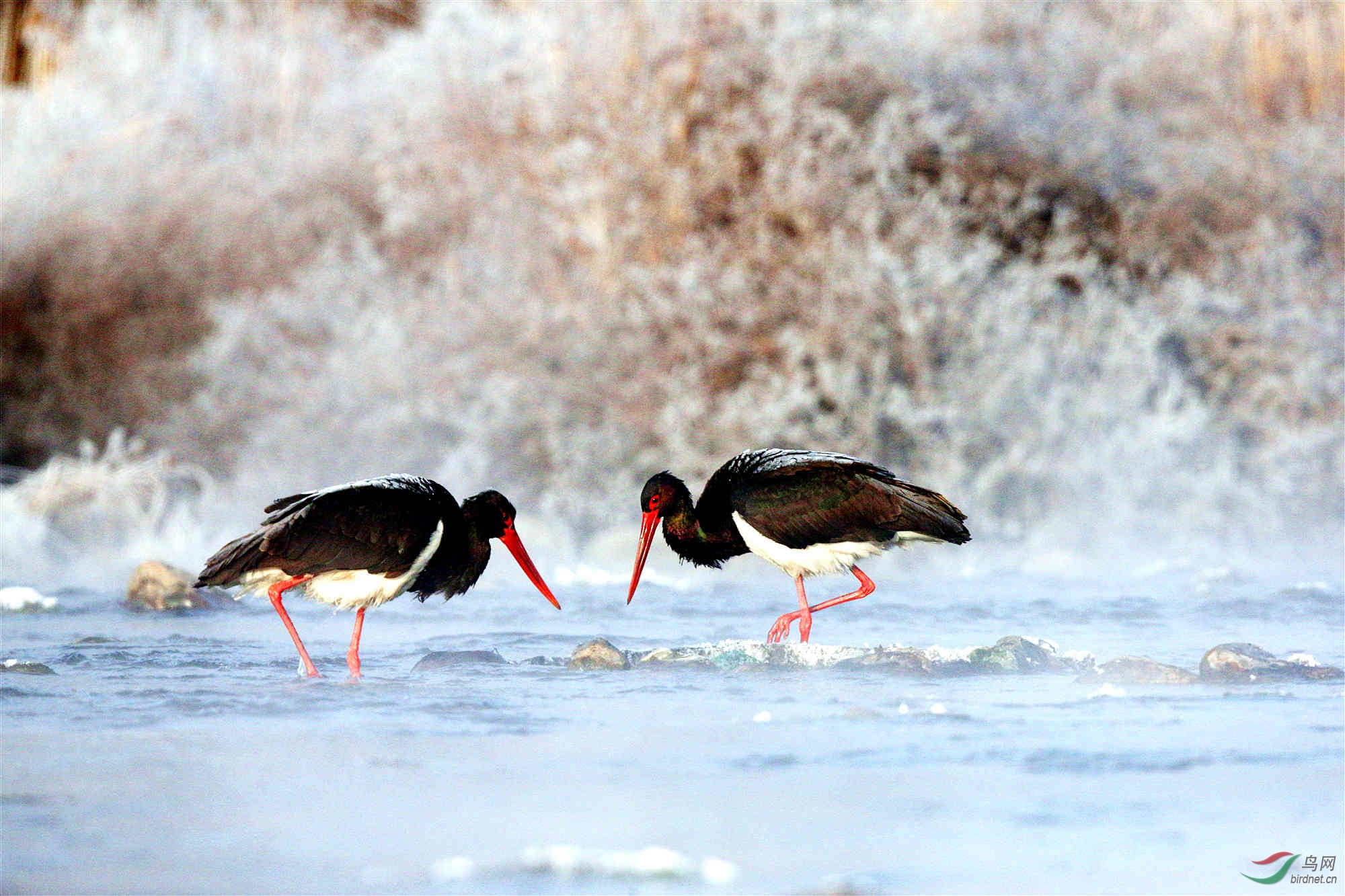 H46R0708_����_���� (2).jpg