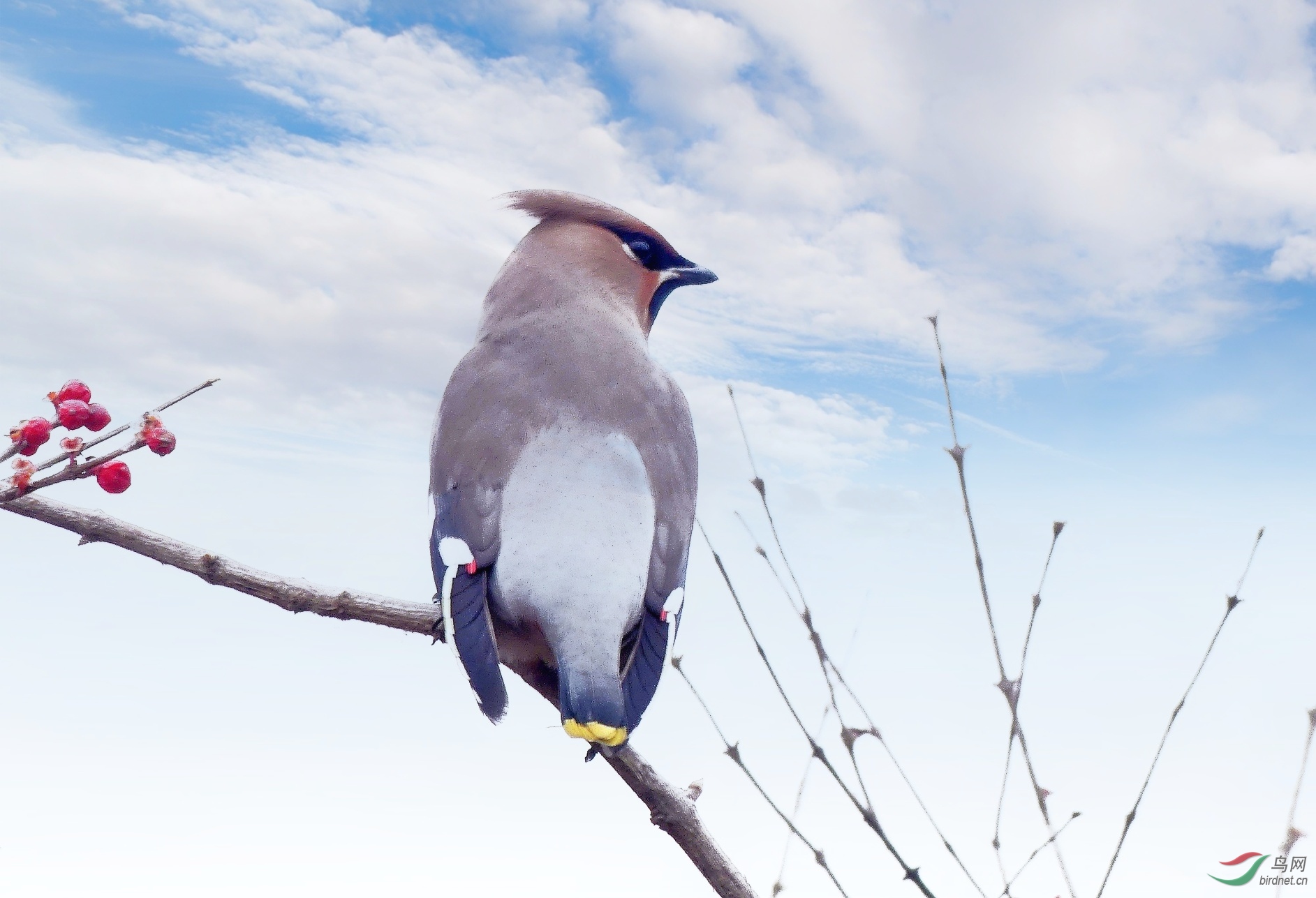 天下太平 02-01_mix01-01.jpeg