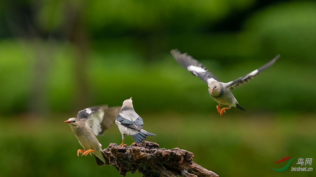 DSC_5761_DxOa.jpg