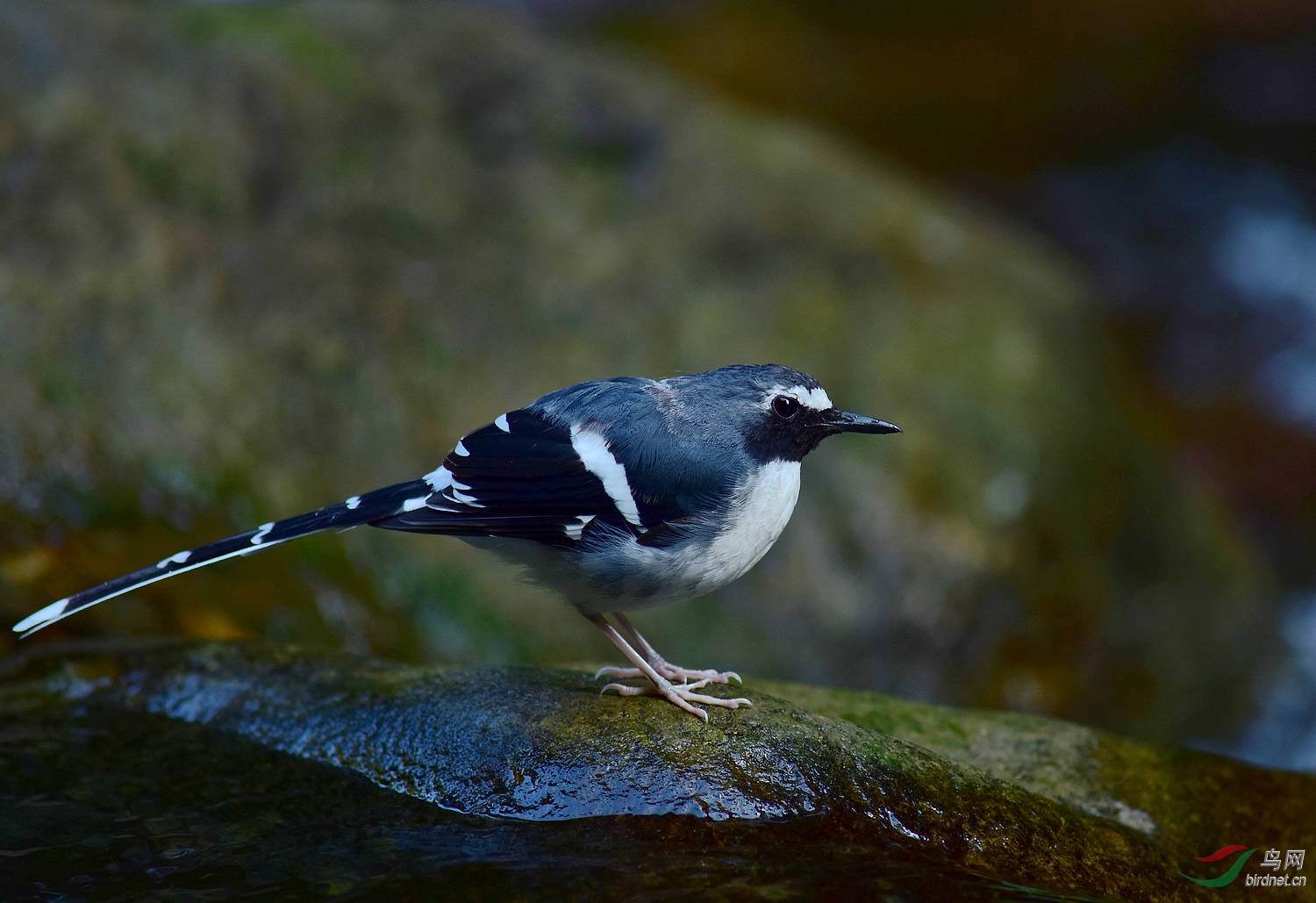 D8I_7504.jpg