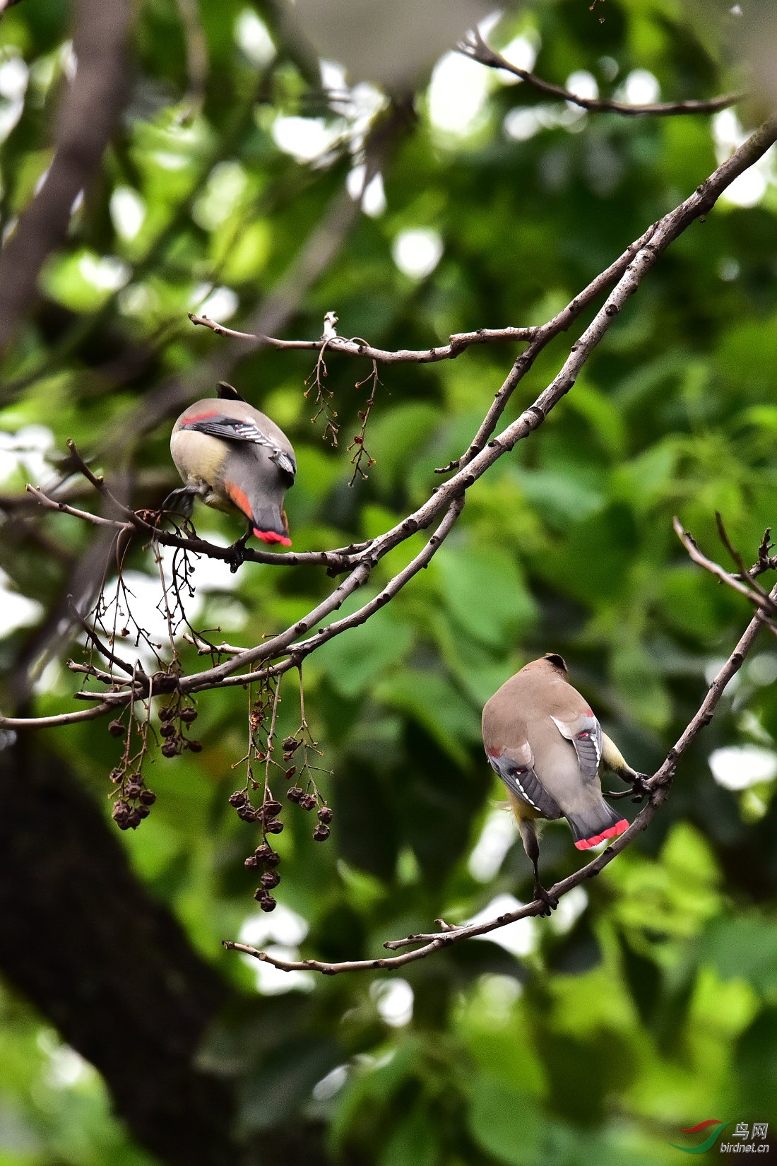 DSC_0177.JPG