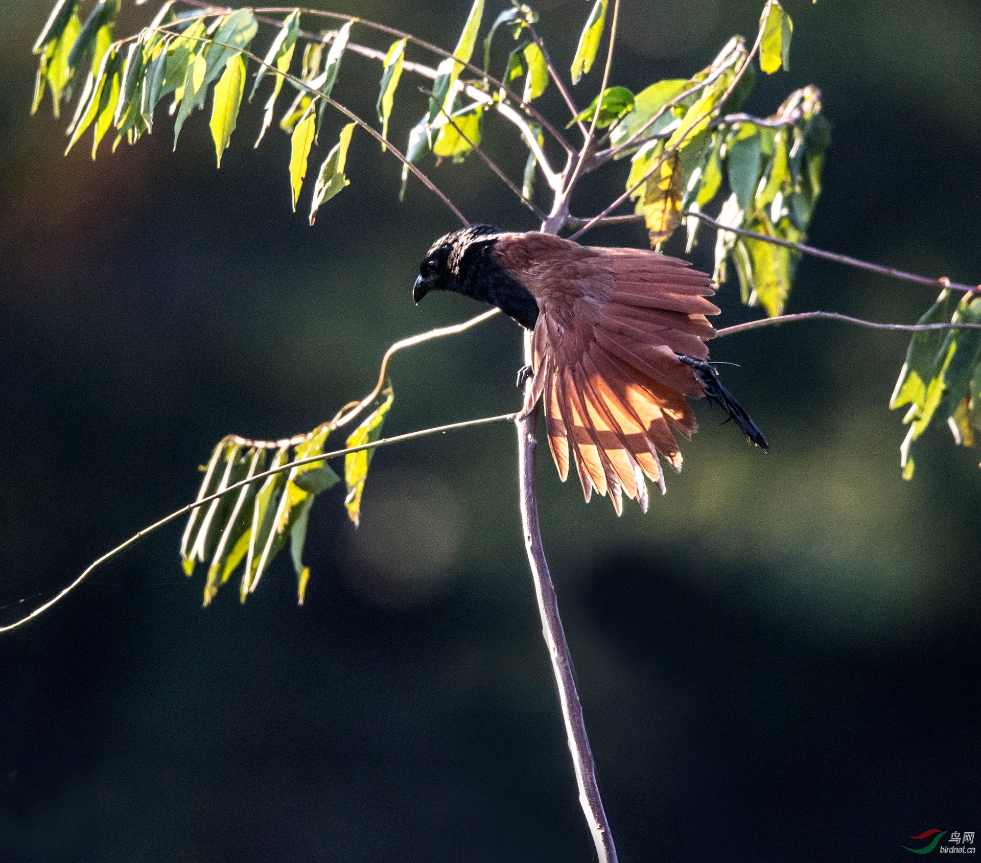 BW4Q6725 - ���� (2).jpg