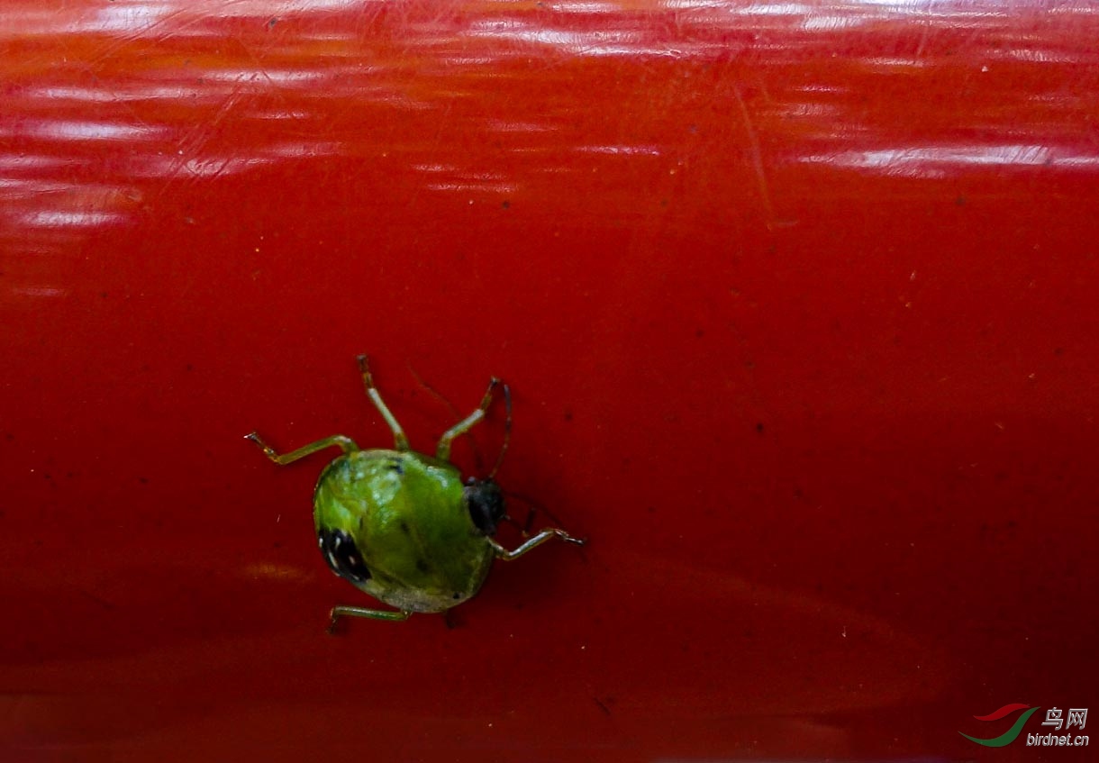 ����һ��2