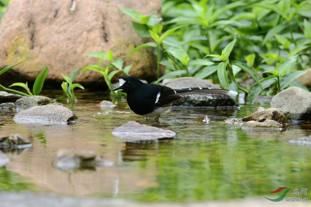 367A8500_����.jpg