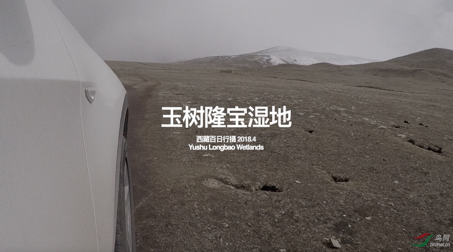 ����¡��ʪ��-��Ļ����500k 2020-09-02 19.49.36.jpg