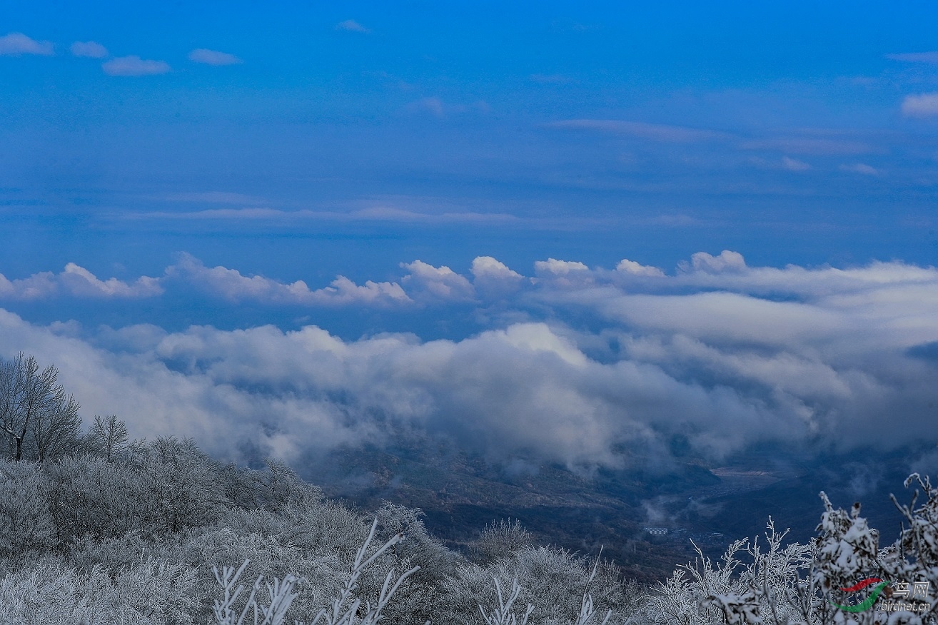 ���������ڡ