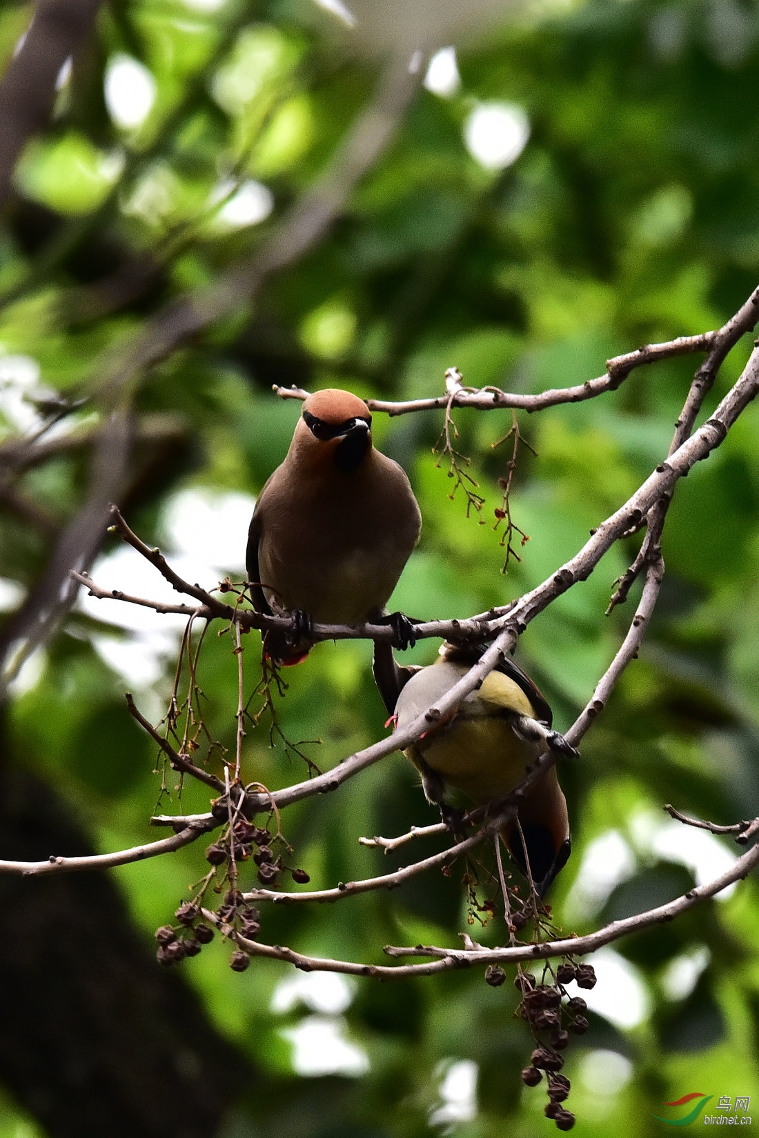 DSC_0183.JPG