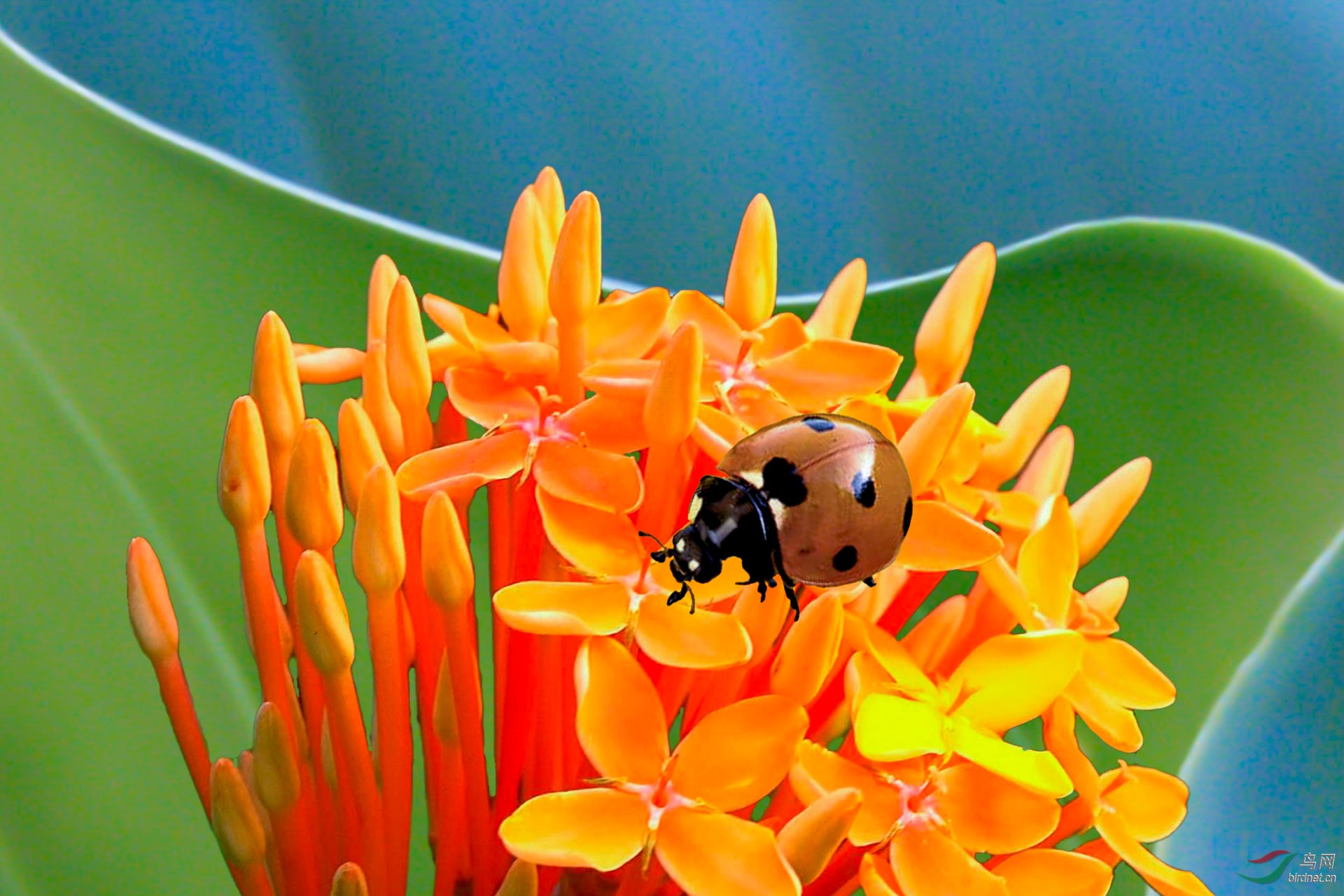 ���� 1920x500k.jpg