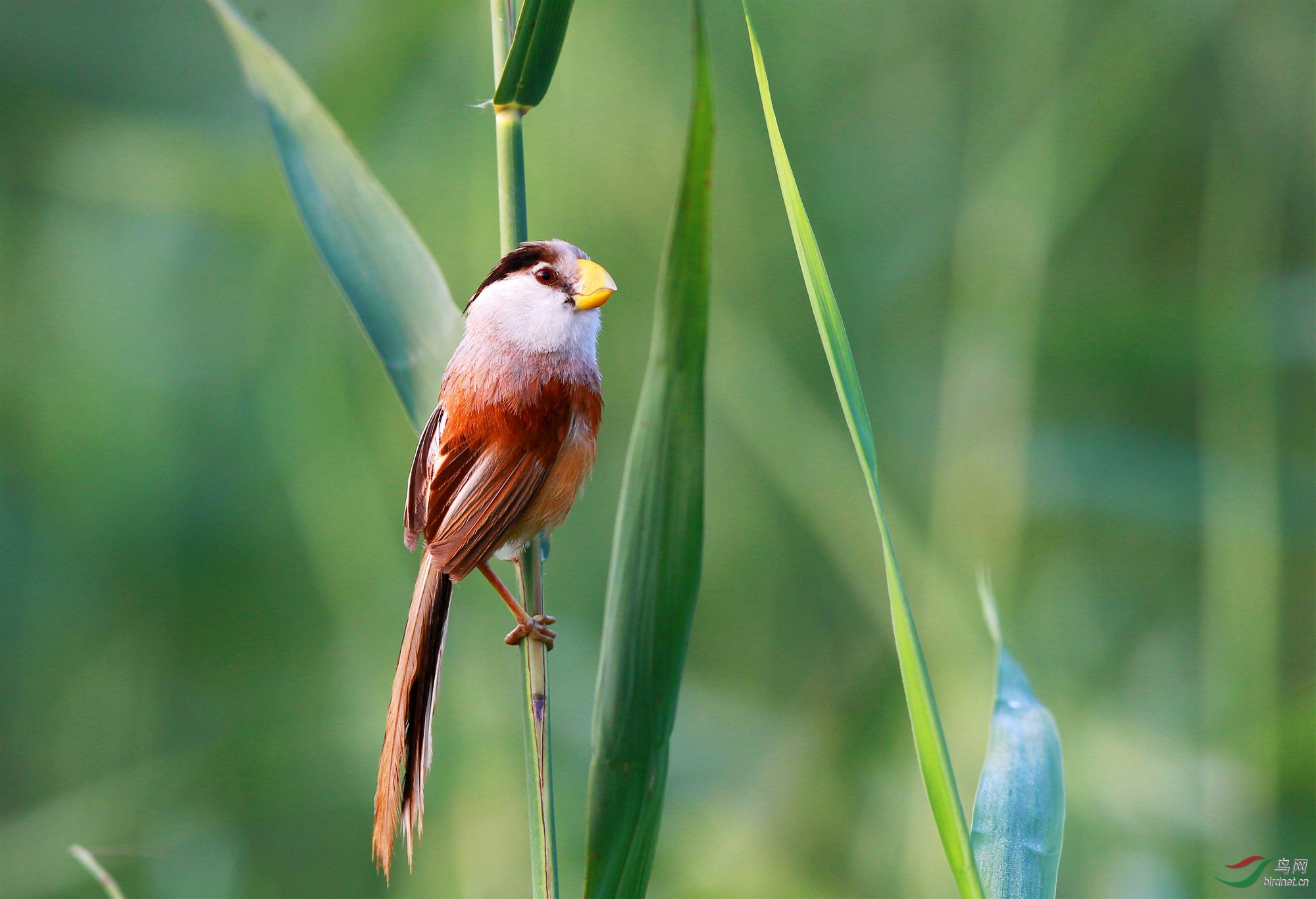 H46R6455_����_���� (2).jpg