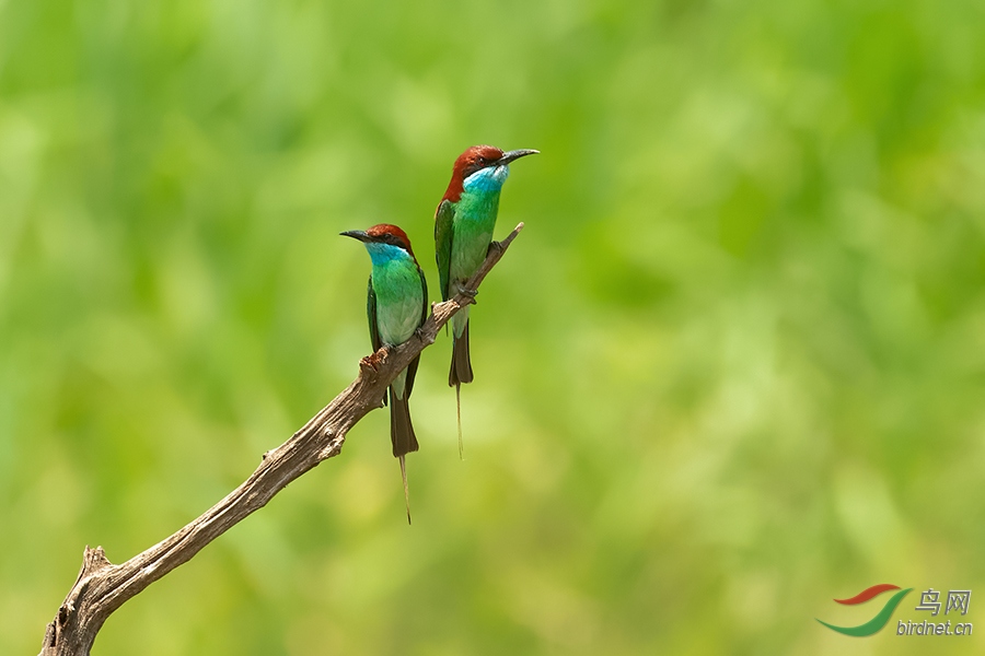 DSC_6434_DxOa.jpg