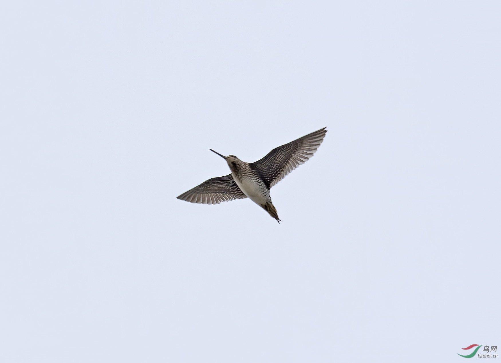 DSC_4926.jpg