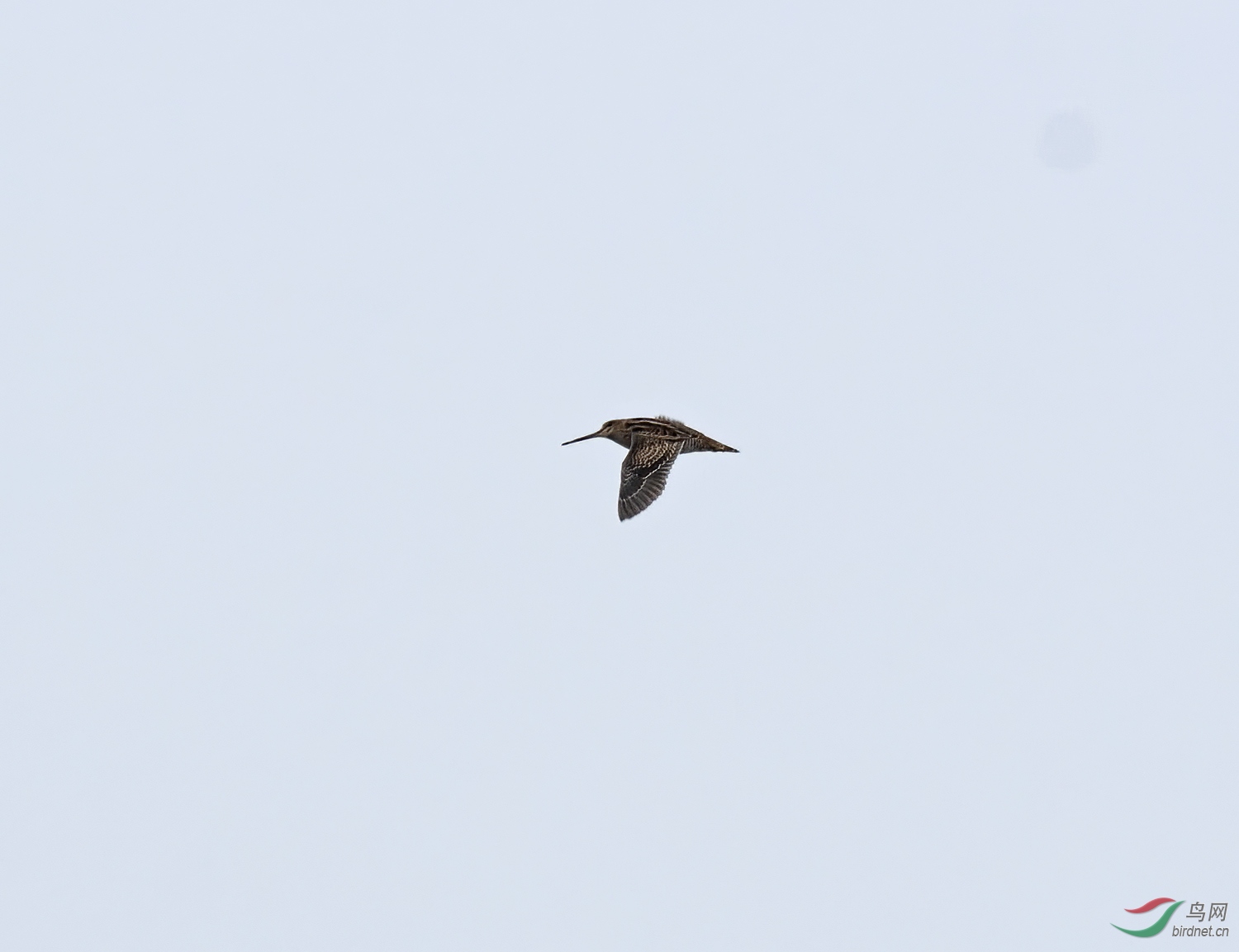 DSC_4912.jpg