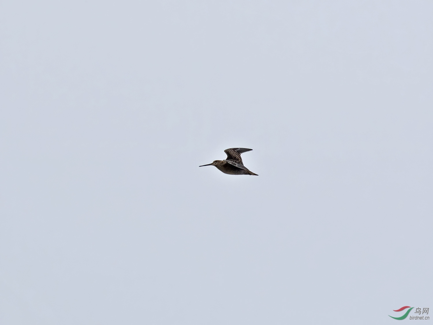 DSC_4919.jpg