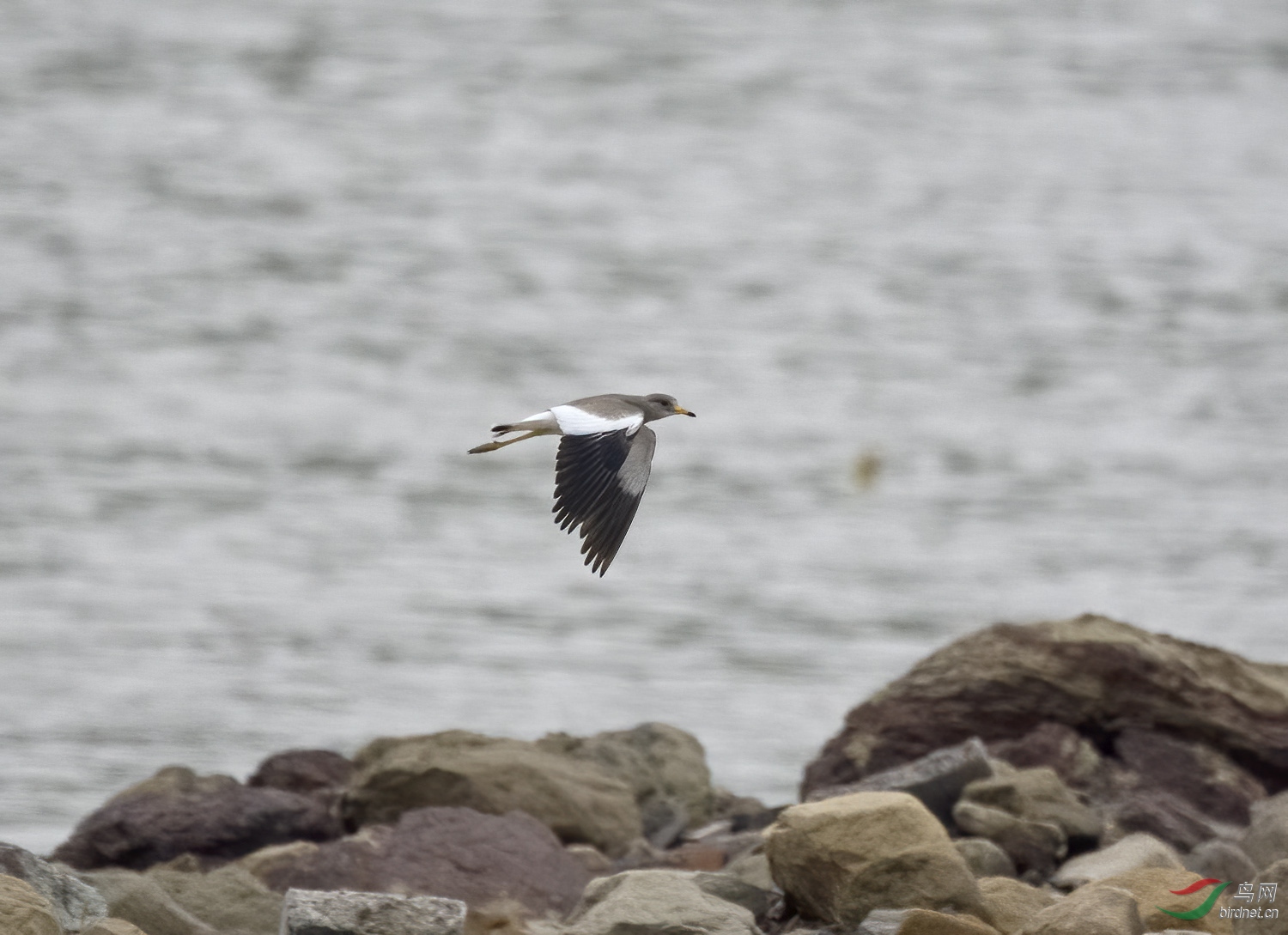 DSC_4869.jpg