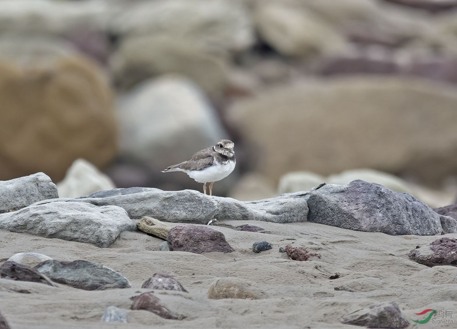 DSC_4907.jpg